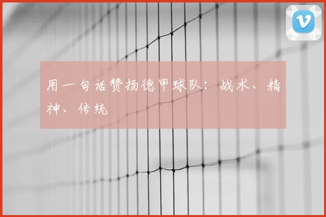 用一句话赞扬德甲球队：战术、精神、传统