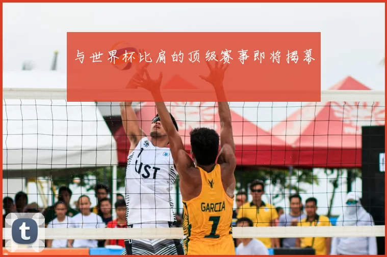 与世界杯比肩的顶级赛事即将揭幕