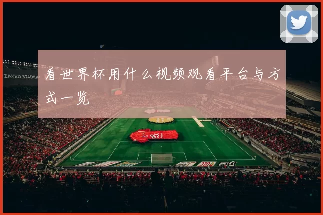 看世界杯用什么视频观看平台与方式一览