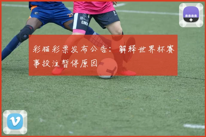 彩猫彩票发布公告:解释世界杯赛事投注暂停原因