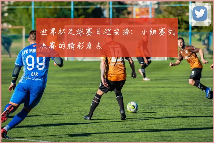 世界杯足球赛日程安排：小组赛到决赛的精彩看点