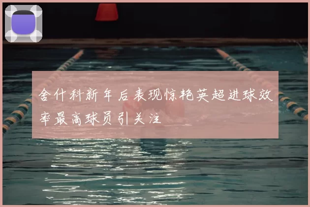 舍什科新年后表现惊艳英超进球效率最高球员引关注