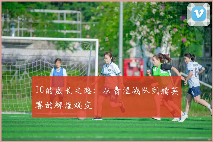 IG的成长之路：从青涩战队到精英赛的辉煌蜕变