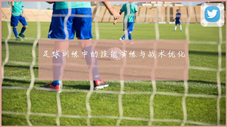 足球训练中的技能演练与战术优化