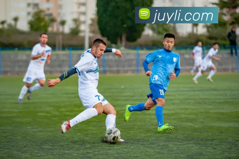 爱游戏体育平台生态图