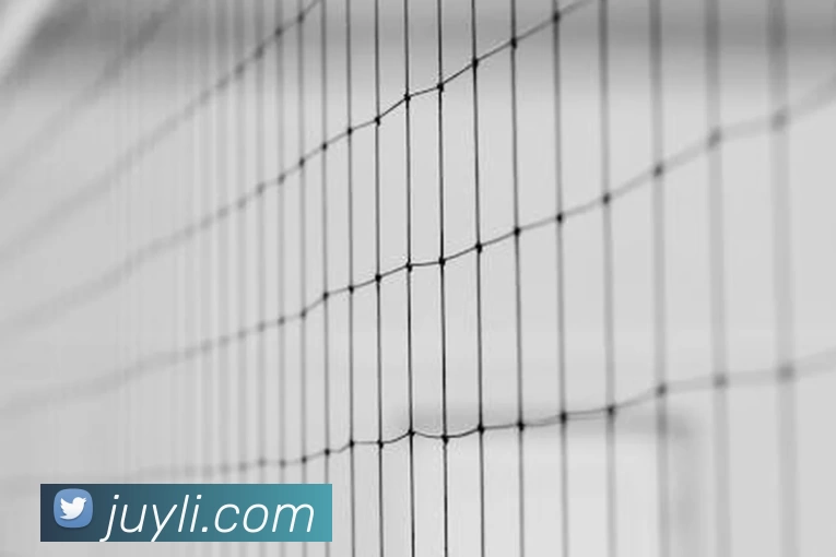 APP界面展示